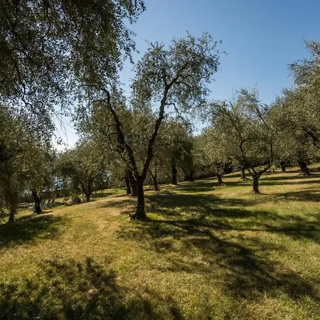 Feriehus Limonaia *