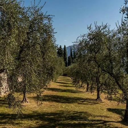 Limonaia